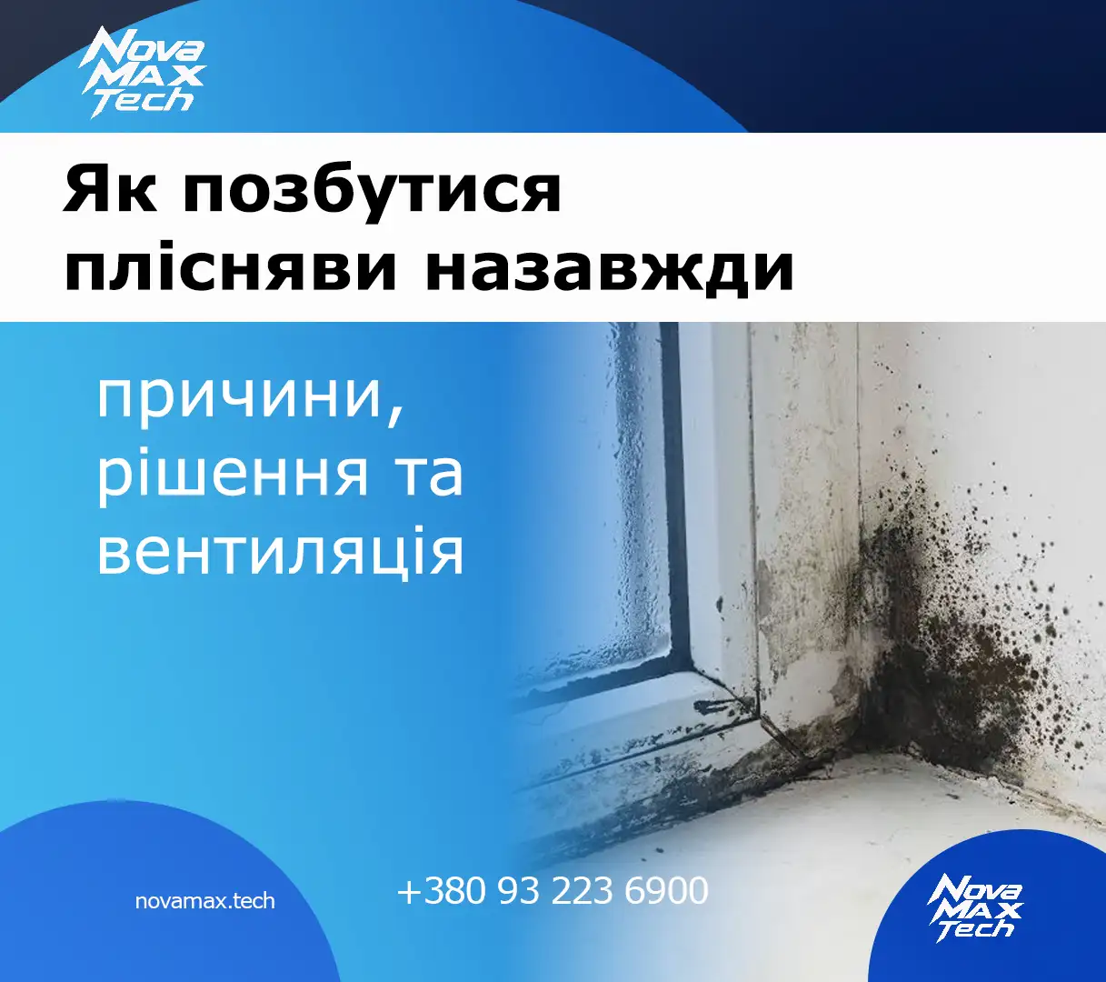 Як позбутися плісняви назавжди: причини, рішення та вентиляція